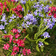 24 Bundles 12 Inch Artificial Flowers and Plants UV Resistant Outdoor Silk Stems Bulk