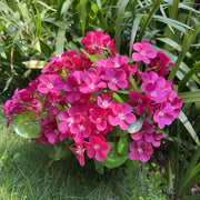 24 Stems Artificial Begonia Flowers, 16 Inch UV Resistant Silk Faux Plants for Hanging Baskets Patio Garden Decor