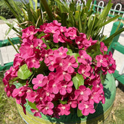24 Stems Artificial Begonia Flowers, 16 Inch UV Resistant Silk Faux Plants for Hanging Baskets Patio Garden Decor