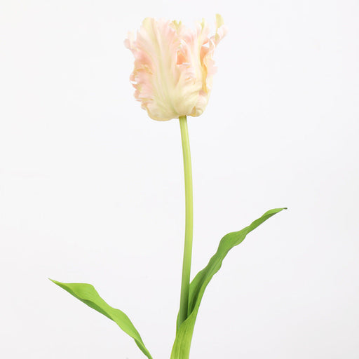 27 Inch Parrot Tulip Stems 10 Pcs Real Touch Artificial Flowers Bulk Wholesale
