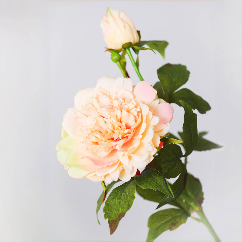 Real Touch Peony Flower Stem 25.6 Inch Artificial Silk Bloom