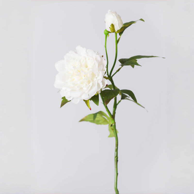 Real Touch Peony Flower Stem 25.6 Inch Artificial Silk Bloom