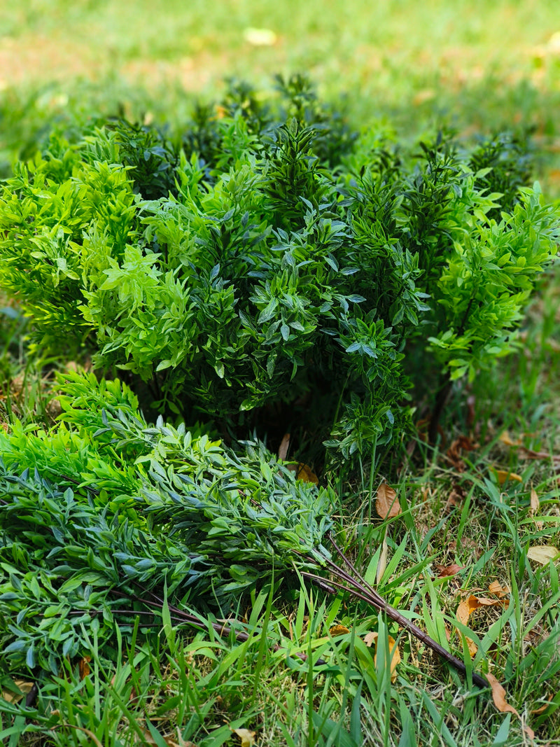 13 Inch Artificial Pepper Bush Plants, UV Resistant Plastic, Bulk Quantity for Outdoors