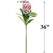 36 Inch Extra Tall Artificial Protea Stems, 6 Pcs Pineapple Protea Flowers