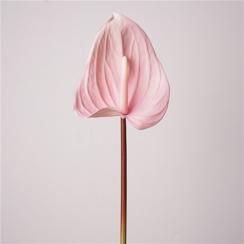 30 Inch Real Touch Anthurium Stem - Lifelike Artificial Flower for Wedding and Home Decor