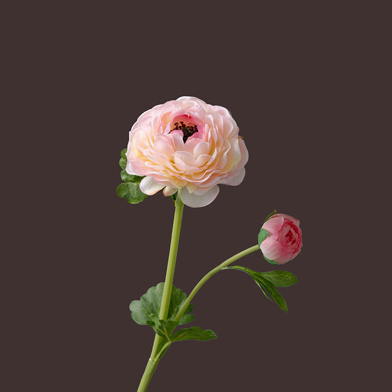 20 Inch Ranunculus Stems 10 Pcs Artificial Silk Flowers for Wedding Home Decoration