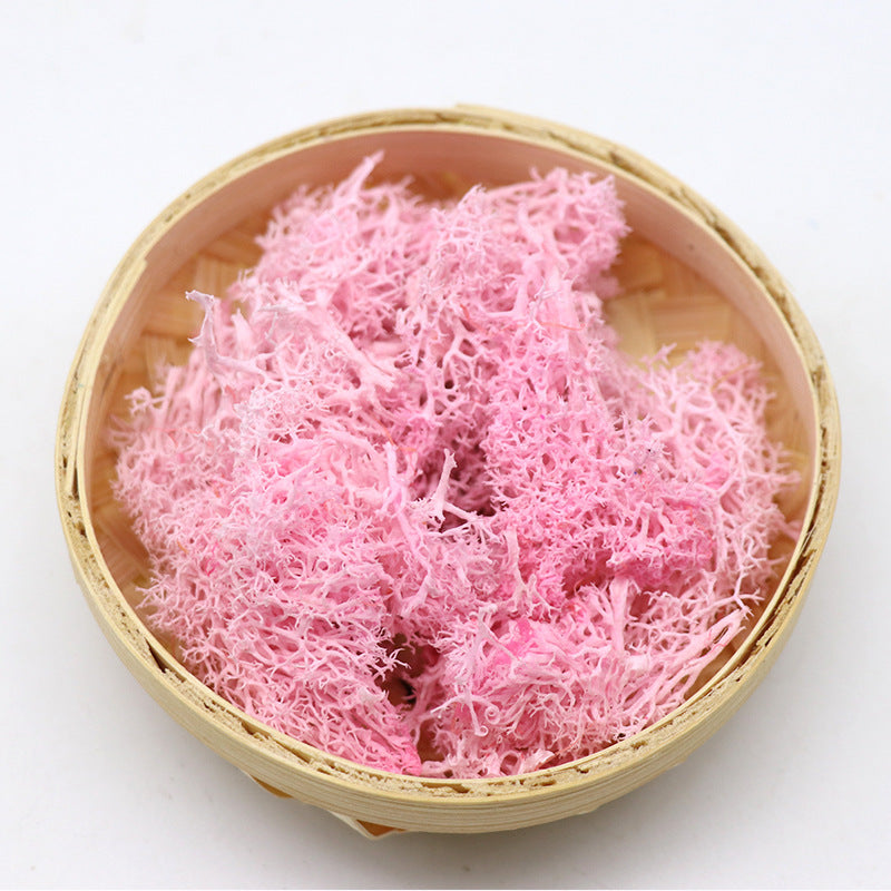 1.7 Ounce Preserved Moss for Crafts Vase Filler Table Centerpieces Fairy Garden Wedding Decor Bulk Quantity