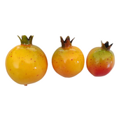 3 Pcs Artificial Pomegranate Fruit Lifelike Decorative Faux Silk