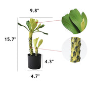 Artificial Succulent Plants Bulk 12 Pcs in Pots, Realistic Silk Succulents for Home Decor