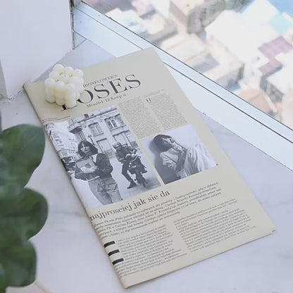 Premium 2-Piece Artificial Leaf Placemat Japanese Western Table Mats Waterproof Oil-Proof Placemats for Home Dining Décor