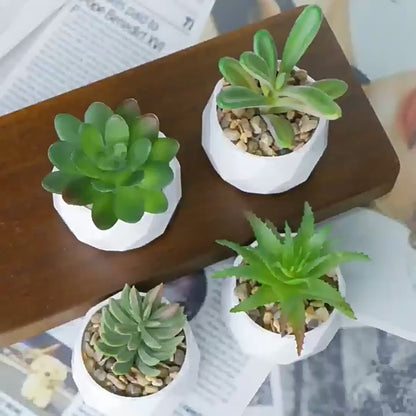 Bulk 2Pcs Succulents Plants 2025 Artificial 2.5 Inch Pots for Boho Bedroom Aesthetic & Office Zen Decor Hypoallergenic Wholesale