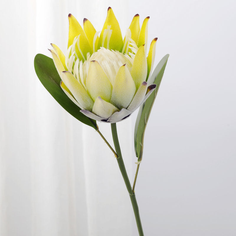 12 Inch Artificial Protea Stems, 12 Pcs Bulk, 15" Long Silk Flowers for 9" Vase Wedding Table Arrangements
