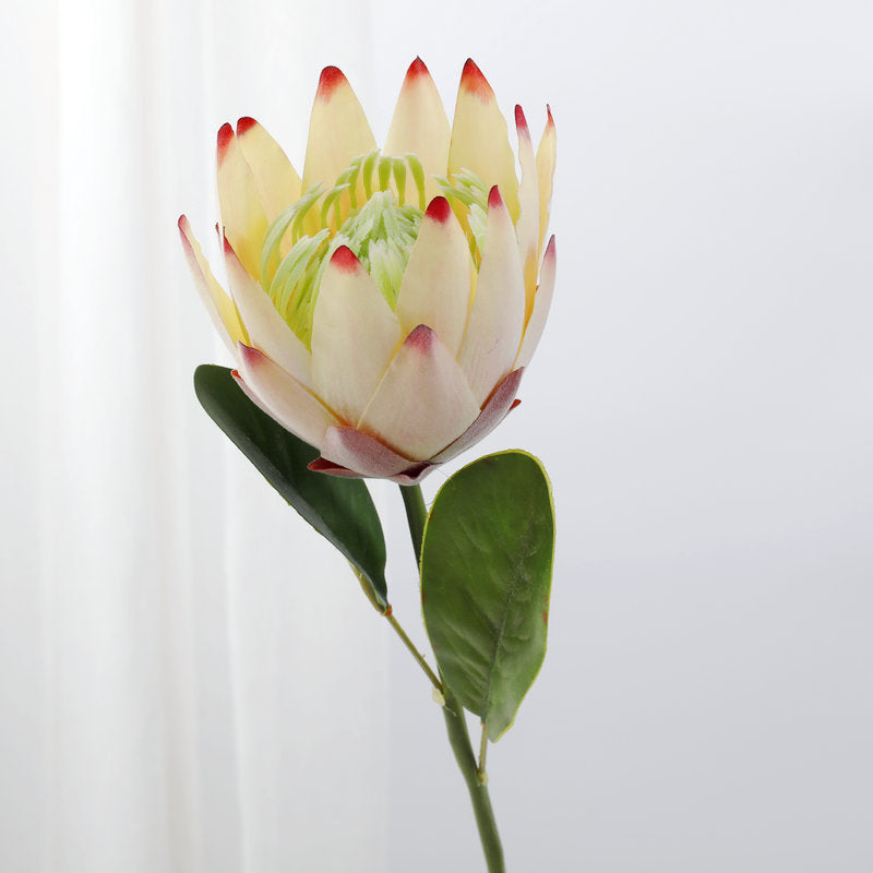 12 Inch Artificial Protea Stems, 12 Pcs Bulk, 15" Long Silk Flowers for 9" Vase Wedding Table Arrangements