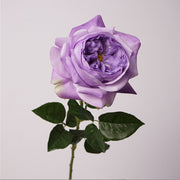 27 Inch Real Touch Silk Roses - 6 Stems Lifelike Artificial Flowers for Wedding and Home Decor
