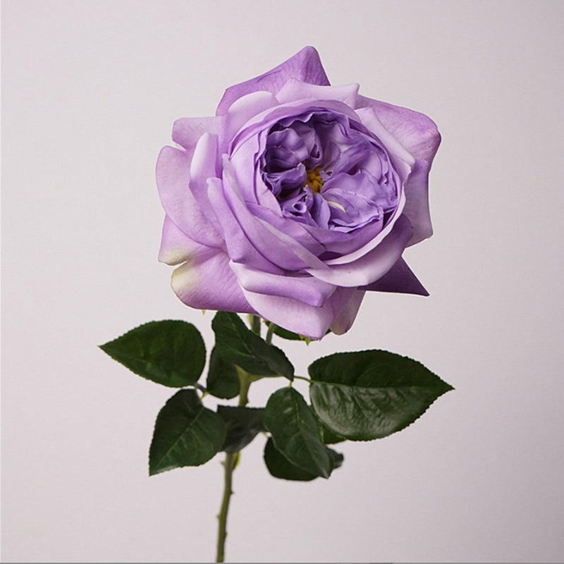 27 Inch Real Touch Silk Roses - 6 Stems Lifelike Artificial Flowers for Wedding and Home Decor