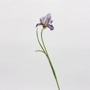 21.5 Inch Artificial Iris Stems 10 Pcs Real Touch Silk Flowers Bulk Wholesale