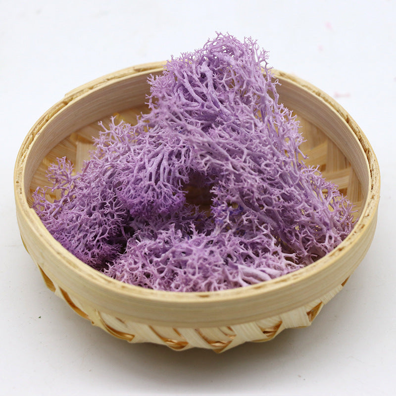 1.7 Ounce Preserved Moss for Crafts Vase Filler Table Centerpieces Fairy Garden Wedding Decor Bulk Quantity