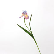29 Inch Fantasy Iris Artificial Flower Stems, Real Touch, 10 Pcs, Bulk Christian Arrangements