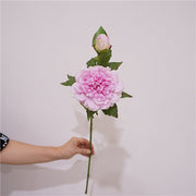 Real Touch Peony Stem Artificial Silk Flower 18 Inch Single Stem