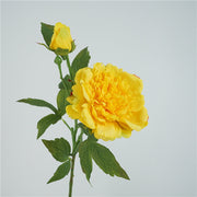 Real Touch Peony Stem Artificial Silk Flower 18 Inch Single Stem