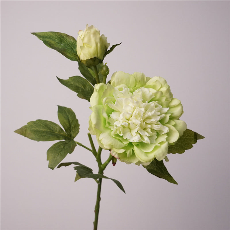 Real Touch Peony Stem Artificial Silk Flower 18 Inch Single Stem