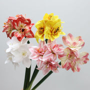 Real Touch Amaryllis Stem Artificial Flower 12 Inch Spring Bloom 1 Pc