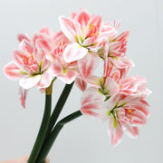 Real Touch Amaryllis Stem Artificial Flower 12 Inch Spring Bloom 1 Pc