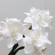Real Touch Amaryllis Stem Artificial Flower 12 Inch Spring Bloom 1 Pc
