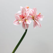 Real Touch Amaryllis Stem Artificial Flower 12 Inch Spring Bloom 1 Pc