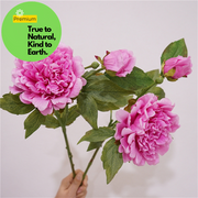 Real Touch Peony Stem Artificial Silk Flower 18 Inch Single Stem