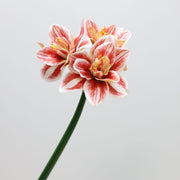 Real Touch Amaryllis Stem Artificial Flower 12 Inch Spring Bloom 1 Pc