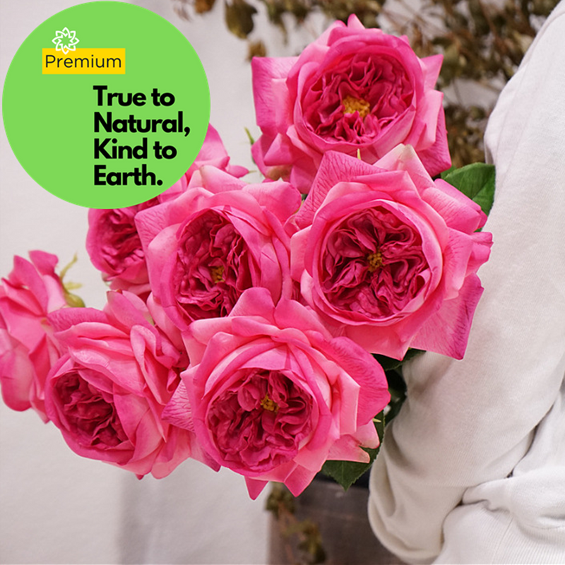 27 Inch Real Touch Silk Roses - 6 Stems Lifelike Artificial Flowers for Wedding and Home Decor