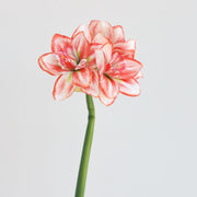 Real Touch Amaryllis Stem Artificial Flower 12 Inch Spring Bloom 1 Pc