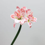 Real Touch Amaryllis Stem Artificial Flower 12 Inch Spring Bloom 1 Pc