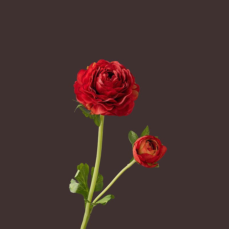 20 Inch Ranunculus Stems 10 Pcs Artificial Silk Flowers for Wedding Home Decoration