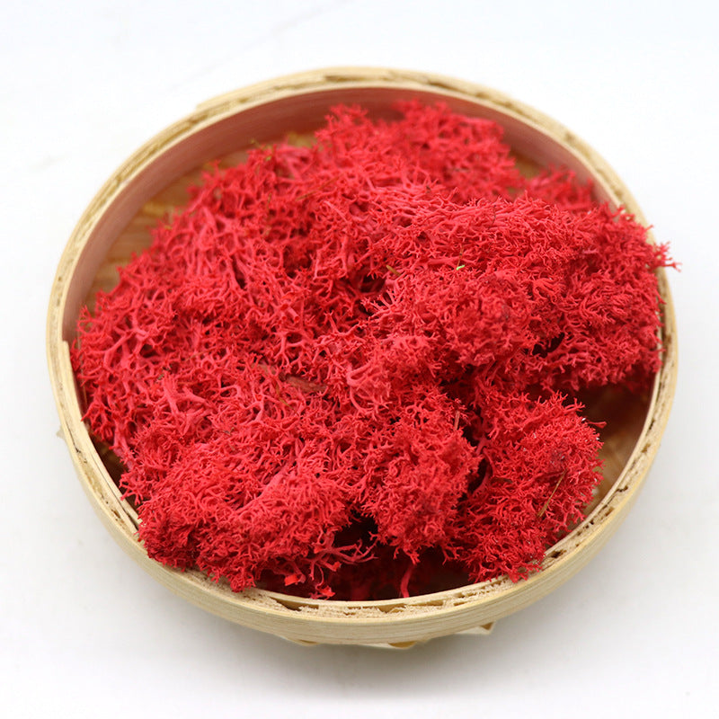 1.7 Ounce Preserved Moss for Crafts Vase Filler Table Centerpieces Fairy Garden Wedding Decor Bulk Quantity