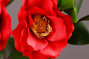 23 Inch Tea Rose Spray Stems 10 Pcs Silk Artificial Flowers Bulk