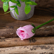 Mini Rose Bud Stems 50 Pcs 6 Inch Artificial Silk Flowers for Crafts Wedding DIY Centerpieces