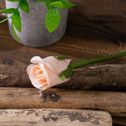 Mini Rose Bud Stems 50 Pcs 6 Inch Artificial Silk Flowers for Crafts Wedding DIY Centerpieces