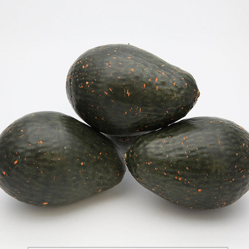 Artificial Avocado Fruit Decor 12 Pcs Bulk Prop for Home Display
