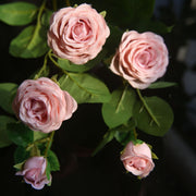 31 Inch Silk Rose Spray Stems Bulk 10 Pcs Artificial Spring Flowers for Floral Arrangements