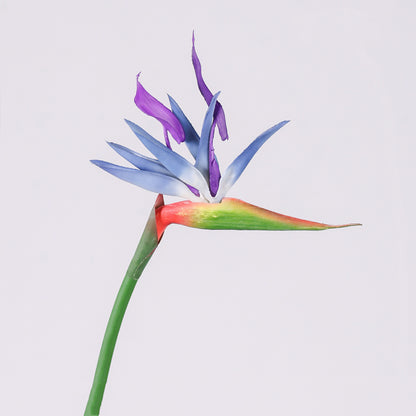Realistic Bird of Paradise Artificial Flower - 28.3" Tall - High-Quality Rubber - for Home Decor Weddings & Photography