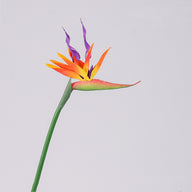 Realistic Bird of Paradise Artificial Flower - 28.3" Tall - High-Quality Rubber - for Home Decor Weddings & Photography