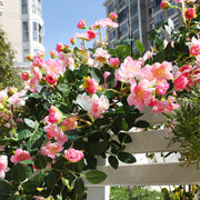 6 Ft Artificial Begonia Flower Garland UV Resistant Outdoor Garden Decor