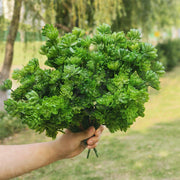 8 Pcs Artificial Succulent Bush Plants for Outdoors, Bulk Wholesale