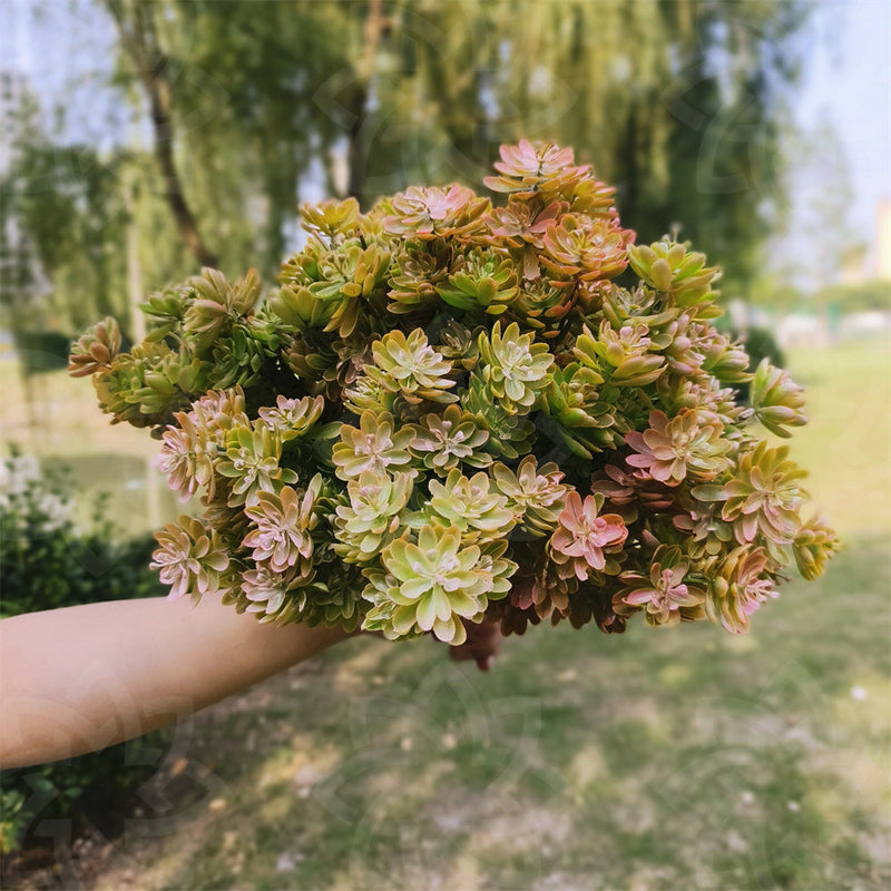 8 Pcs Artificial Succulent Bush Plants for Outdoors, Bulk Wholesale