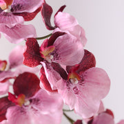 31 Inch Extra Long Vanda Orchid Stems 10 Pcs Real Touch Artificial Flowers Bulk