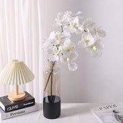 31 Inch Extra Long Vanda Orchid Stems 10 Pcs Real Touch Artificial Flowers Bulk