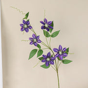 31 Inch Clematis Spray Stems 10 Pcs Artificial Silk Flowers Bulk Pack