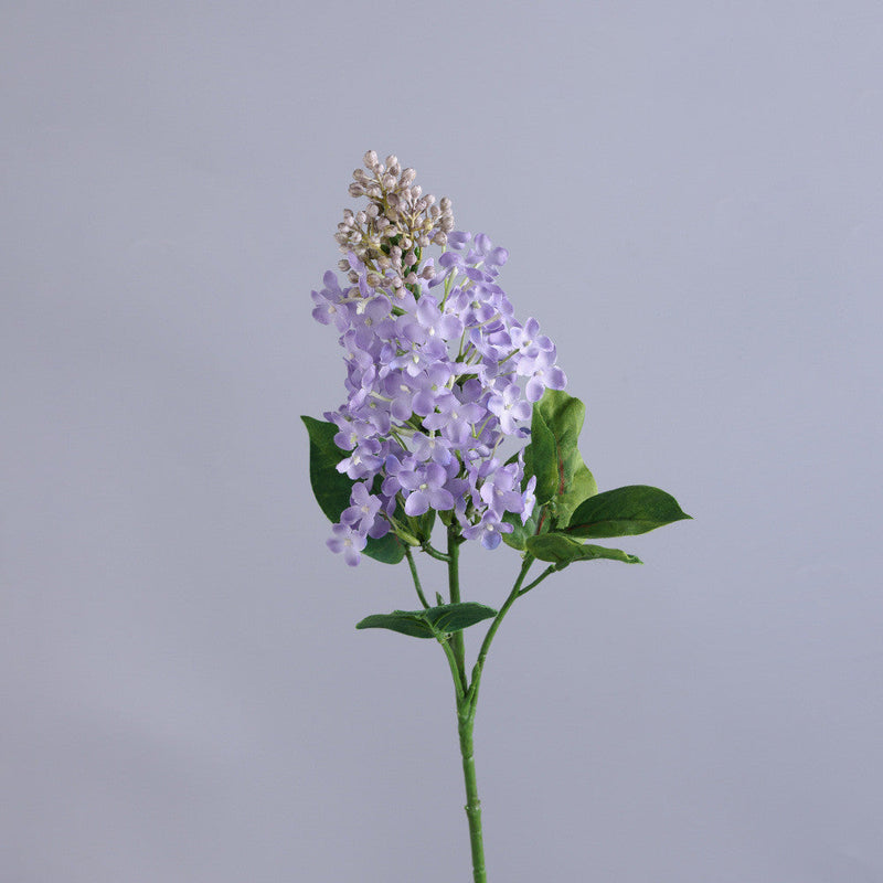 24 Inch Lilac Faux Silk Flower Stems, 10 Pcs Artificial Spring Flowers Bulk